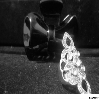 BAGUE ET PINCE - photo 2