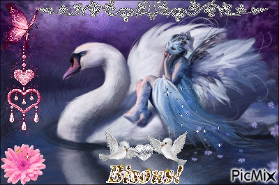 Quelques belles images th�me:F�erique.