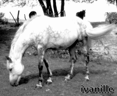 d autre  photo  - photo 2