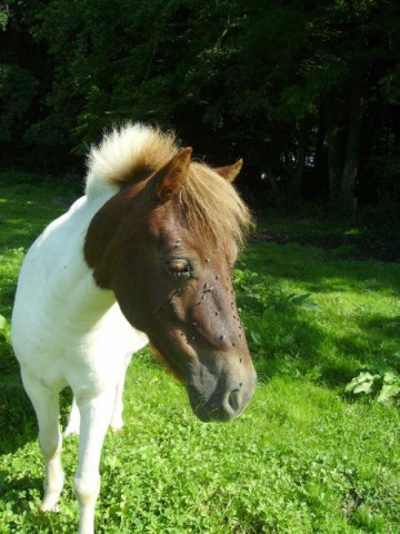 d autre  photo  - photo 3