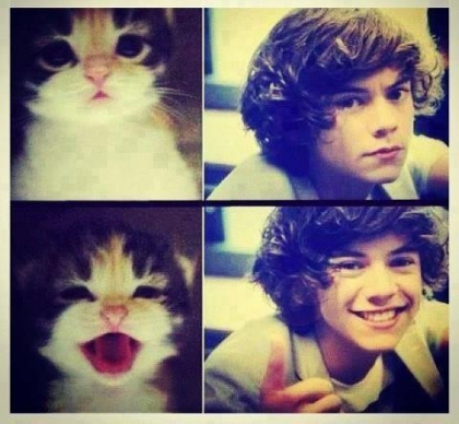 Une sacr� ressemblance ...