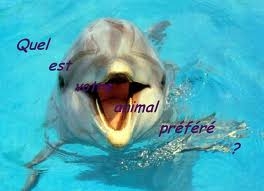 Quel est ton animal pr�f�r�.