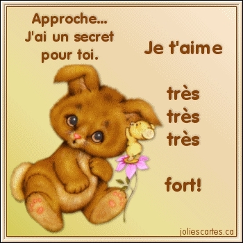 Tous �a a toi nois je t'aime beaucoup !!! - photo 2