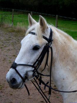  les 4 routes - photo 2