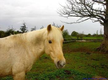  les 4 routes - photo 3