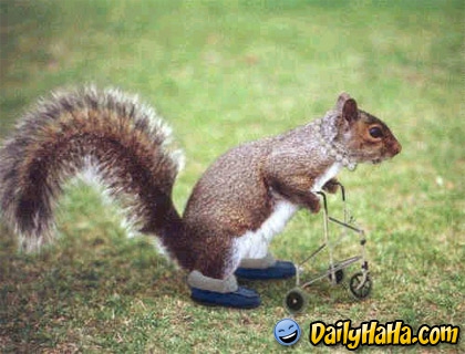 je suis julliete - photo 3