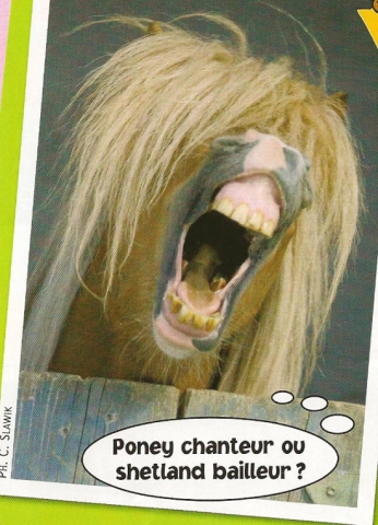 Des animaux mdr!