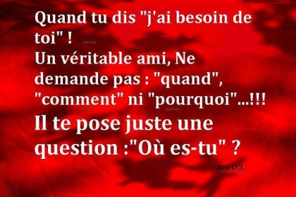 Phrases et proverbes magnifique:
