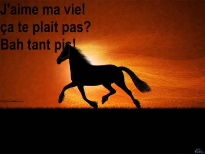 J'en ai plus qu'assez.