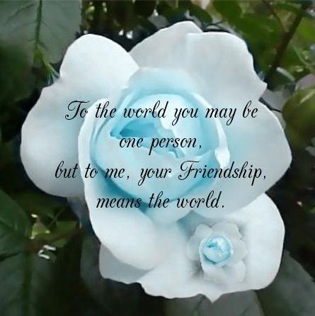 lovely forever pour ton concour