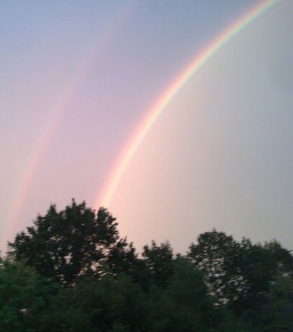 Laisse le vivre... - photo 2