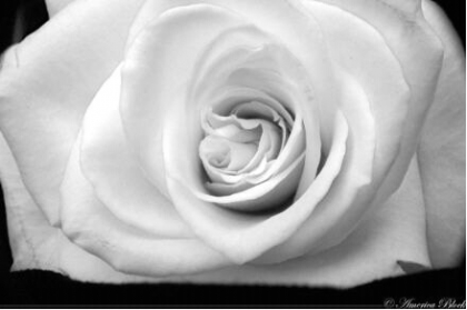 hi tous le monde - photo 2