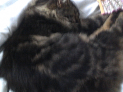 Rom�o :D♥ - photo 3