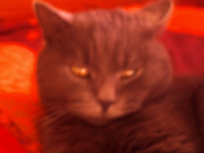 Je m'applle Julie et j'ai 14 ans