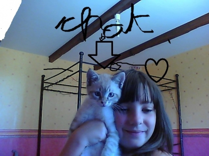 moi et mon chaton