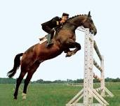 Cadre noir - photo 3