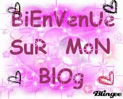 je recommence mon blog ( plus petite prsentation).