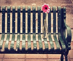 Moi et les modratrices