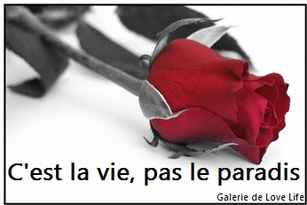 Je m'ennuie 1 - photo 3