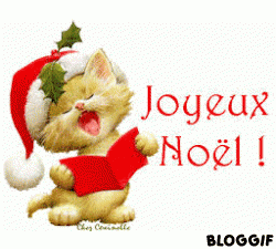 Joyeux Nol 2013 ! - photo 2