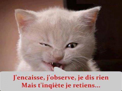 matou