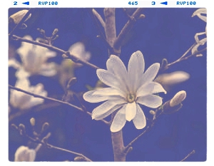 non mais vraiment ! - photo 2