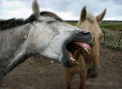 Bienvenue sur mon blog 