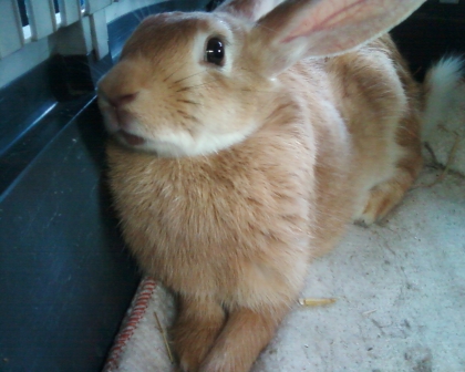 mon blooooooooooog !!! - photo 3