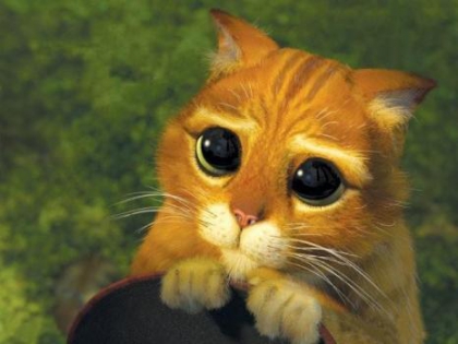 pour les filles qui l'�rrite - photo 2