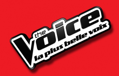 the voice la plus voix jdr - photo 3