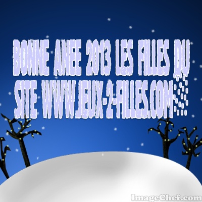 bonne ann�e 2013!
