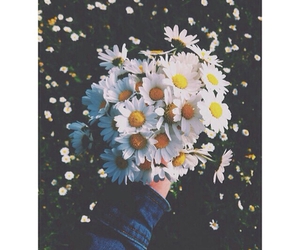 Picture ...! - photo 3