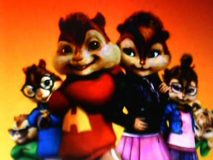 les chipmuns