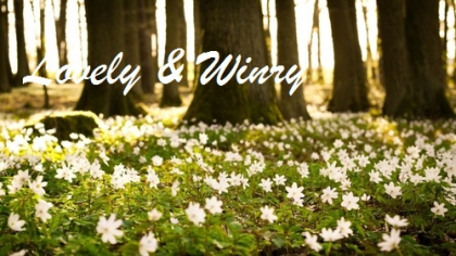 The angels forever ^^