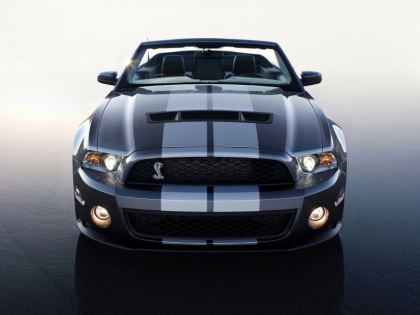 qui a amereu - photo 3