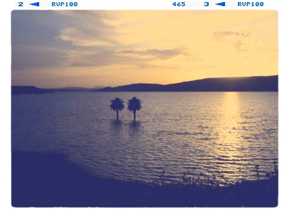 Best friend - photo 3