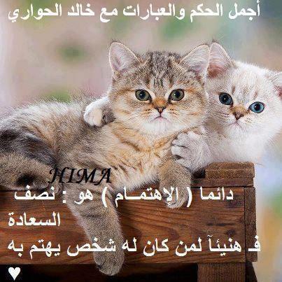 i love you karima - photo 2