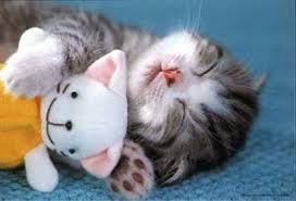 mignon???(suite)