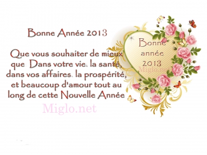 bonne anne 2013 - photo 3