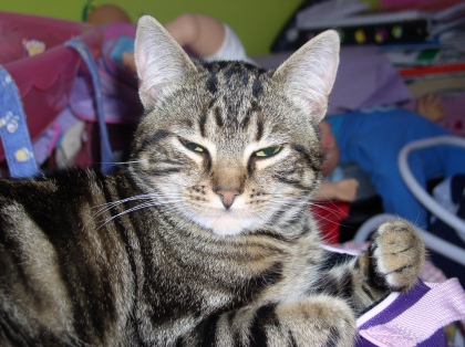 Moustache cette apres midi