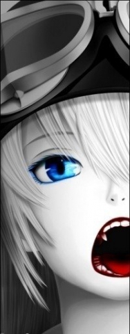 Leffe Bordline - photo 3