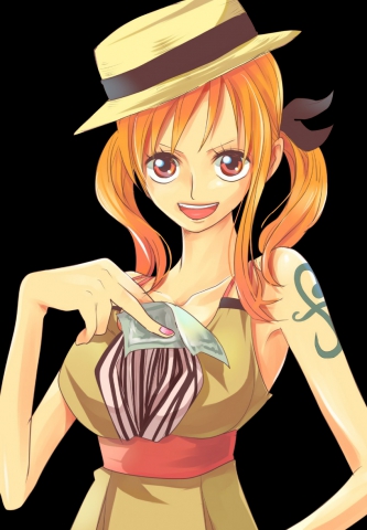 Chapitre 1 : Ace d�barque au Sunny