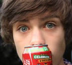 Nos Prsentations - photo 2