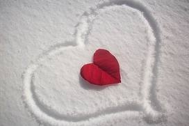 J'ai pas bouger de chez moi !!! a cause la neige !!! :p - photo 2