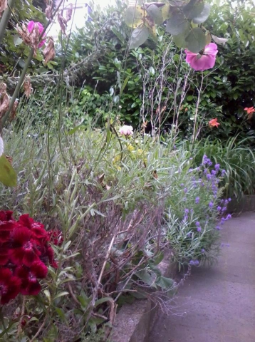 moi et ma famille - photo 3