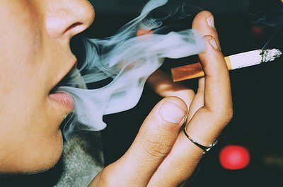 Présentation - photo 2