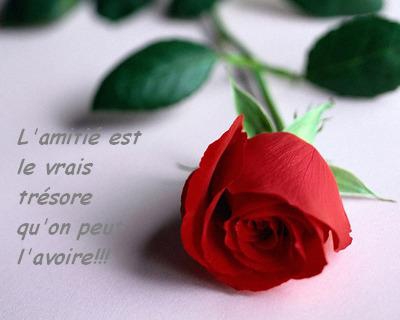 Pome pour toi mon amie!!!!! - photo 2