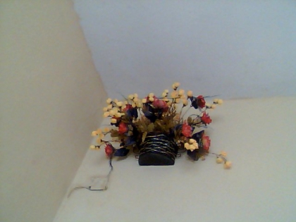 les fleurs - photo 2