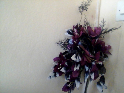 les fleurs - photo 3