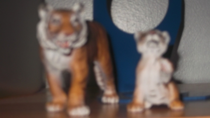 fan de............ n1